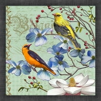 Great Art Now Oriole Bird Botanical by Art Licensing Studio, Framed Wall Art, 17.5W 17.5H