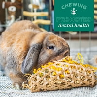 Oxbow Pet Products Essentials Bunny Basics Възрастни сухи заешки храна, lbs