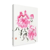 Търговски марки изобразително изкуство 'цветя на пеони и' платно изкуство от Нан Рей
