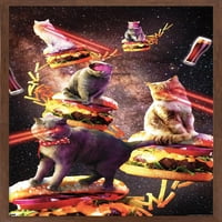 Джеймс Букър - Галактически лазерни котки на стена на чийзбургери, 14.725 22.375 рамки