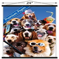 Джеймс Букър - Плакат за стена за селфи за куче с дървена магнитна рамка, 22.375 34